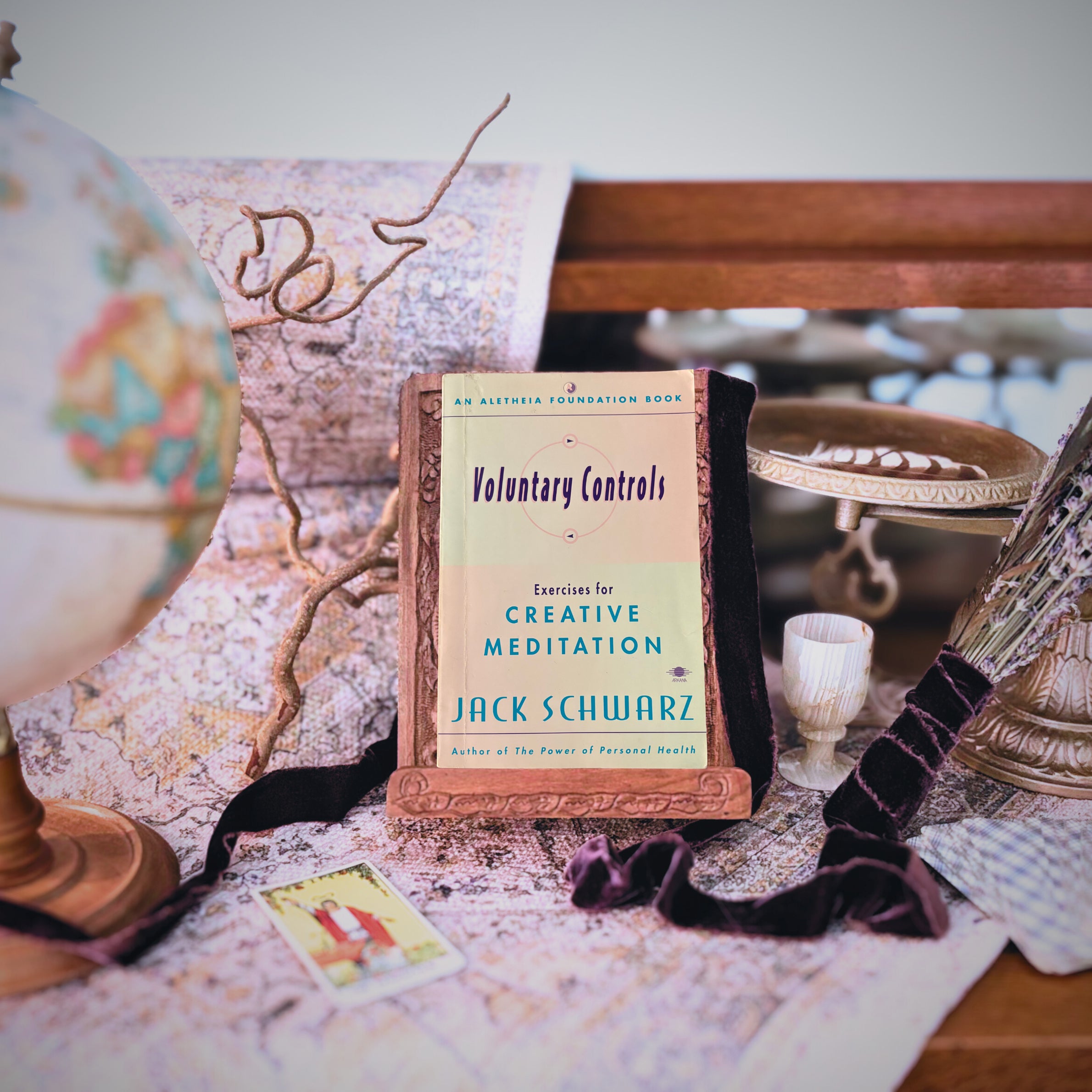 Voluntary Controls | Jack Schwarz | 1978 | Pre-Owned-Haus of Darkness, Haus of Light