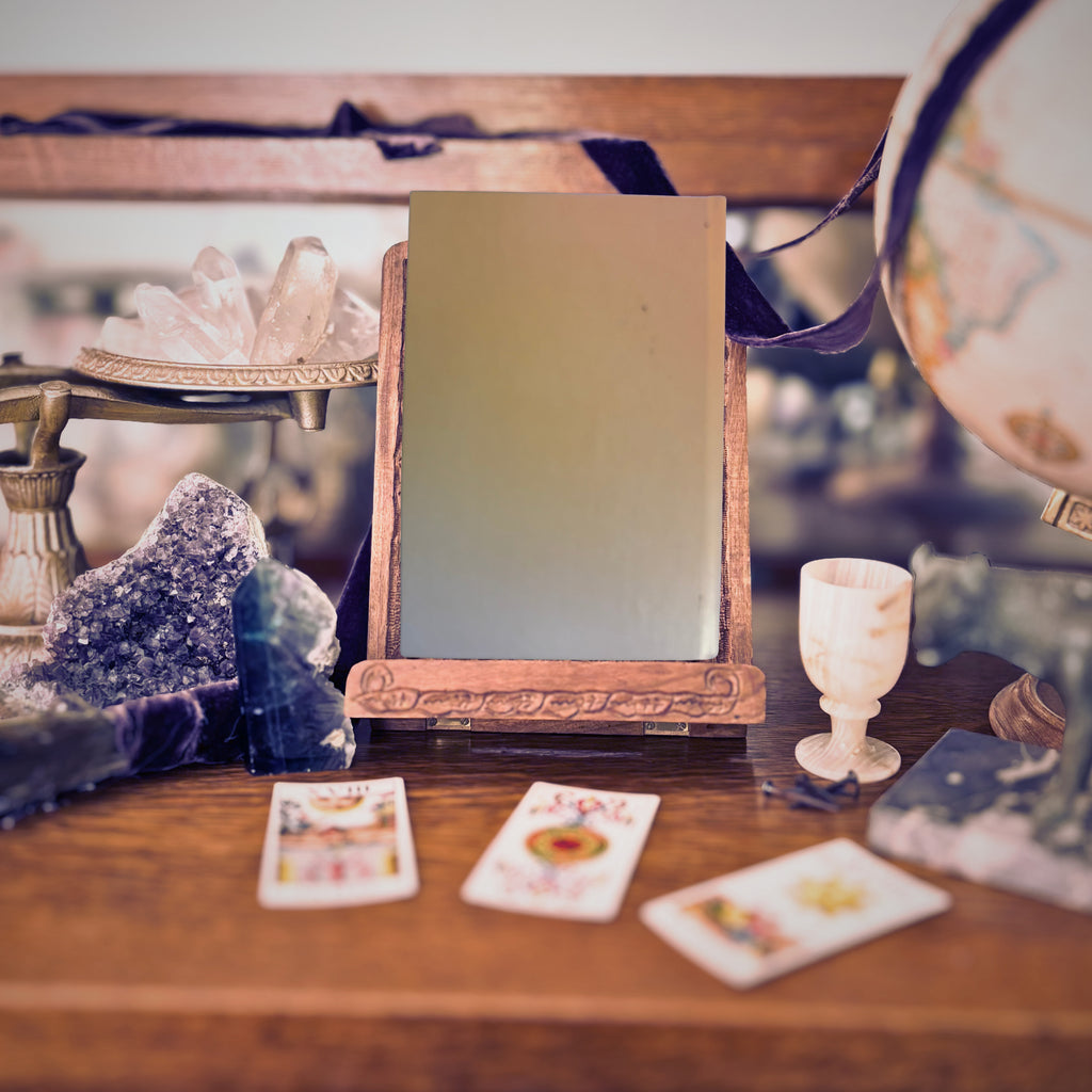 The Case for Reincarnation | James Dillet | 1989 | Pre-Owned-Haus of Darkness, Haus of Light