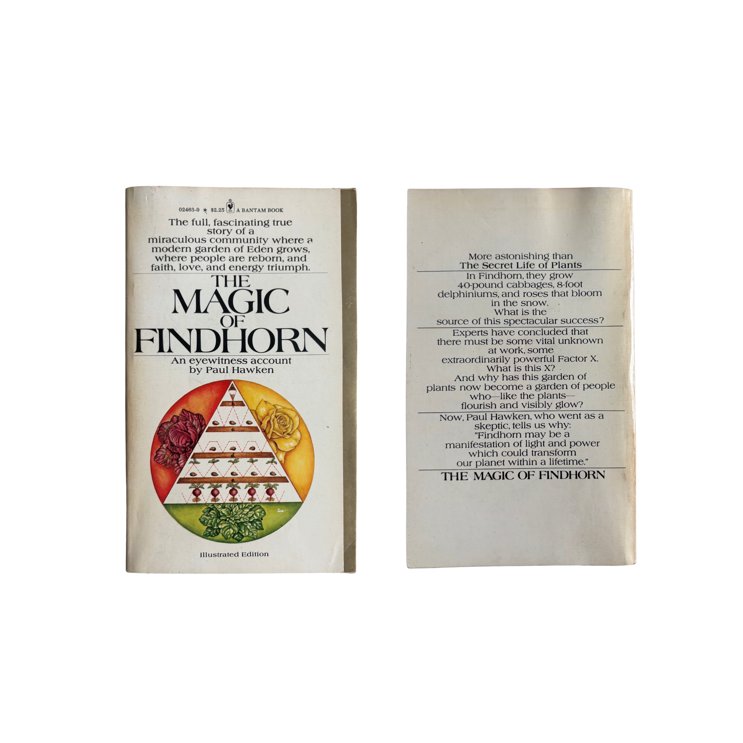 The Magic of Findhorne | Paul Hawken | 1976 | Pre-Owned-Haus of Darkness, Haus of Light