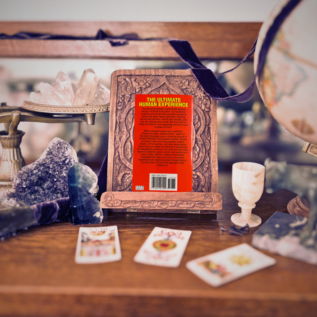 Divine Encounters: a Guide to Visions, Angels, and Other Emissaries | Zecharia Sitchin | 1996 | Pre-Owned-Haus of Darkness, Haus of Light