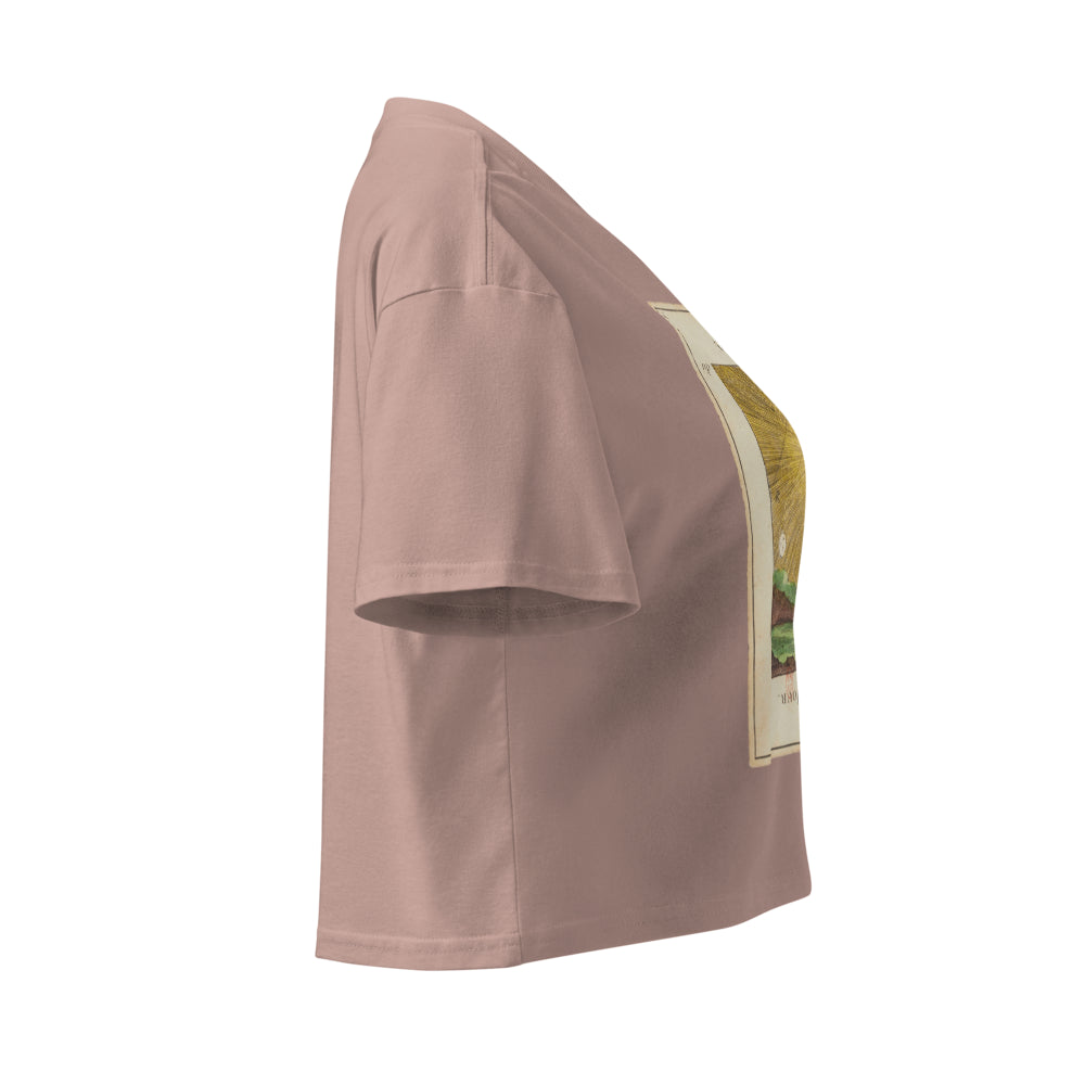 Vintage "Grand Etteilla" French Tarot "Day & Night" | Crop Top-Haus of Darkness, Haus of Light