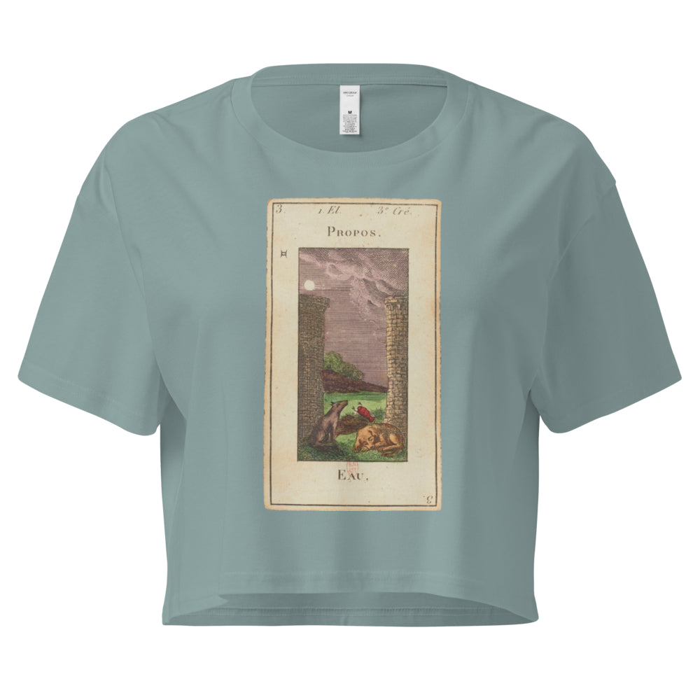 Vintage "Grand Etteilla" French Tarot "The Moon" | Crop Top-Haus of Darkness, Haus of Light