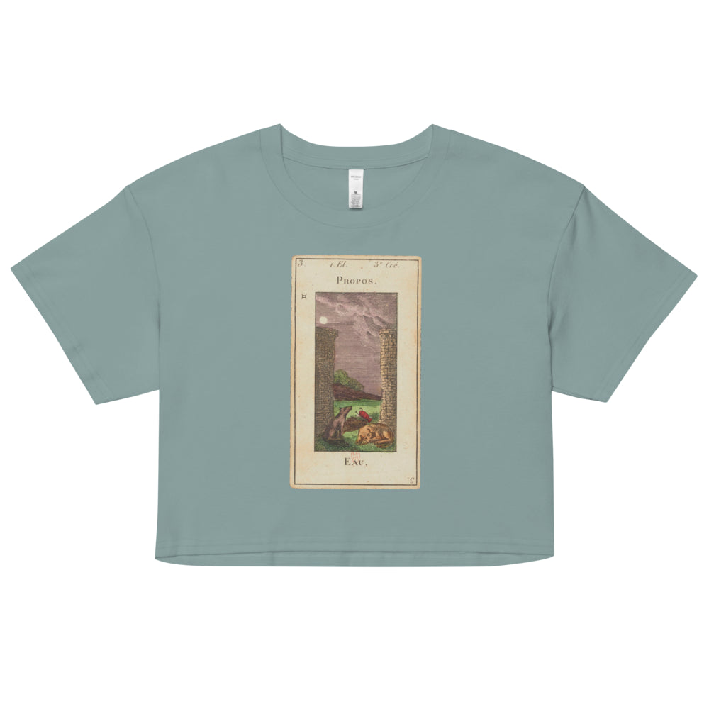 Vintage "Grand Etteilla" French Tarot "The Moon" | Crop Top-Haus of Darkness, Haus of Light