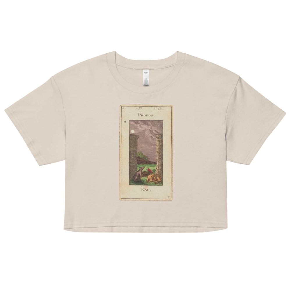 Vintage "Grand Etteilla" French Tarot "The Moon" | Crop Top-Haus of Darkness, Haus of Light