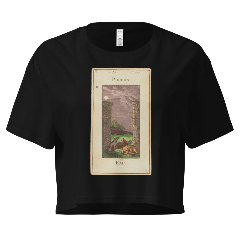 Vintage "Grand Etteilla" French Tarot "The Moon" | Crop Top-Haus of Darkness, Haus of Light