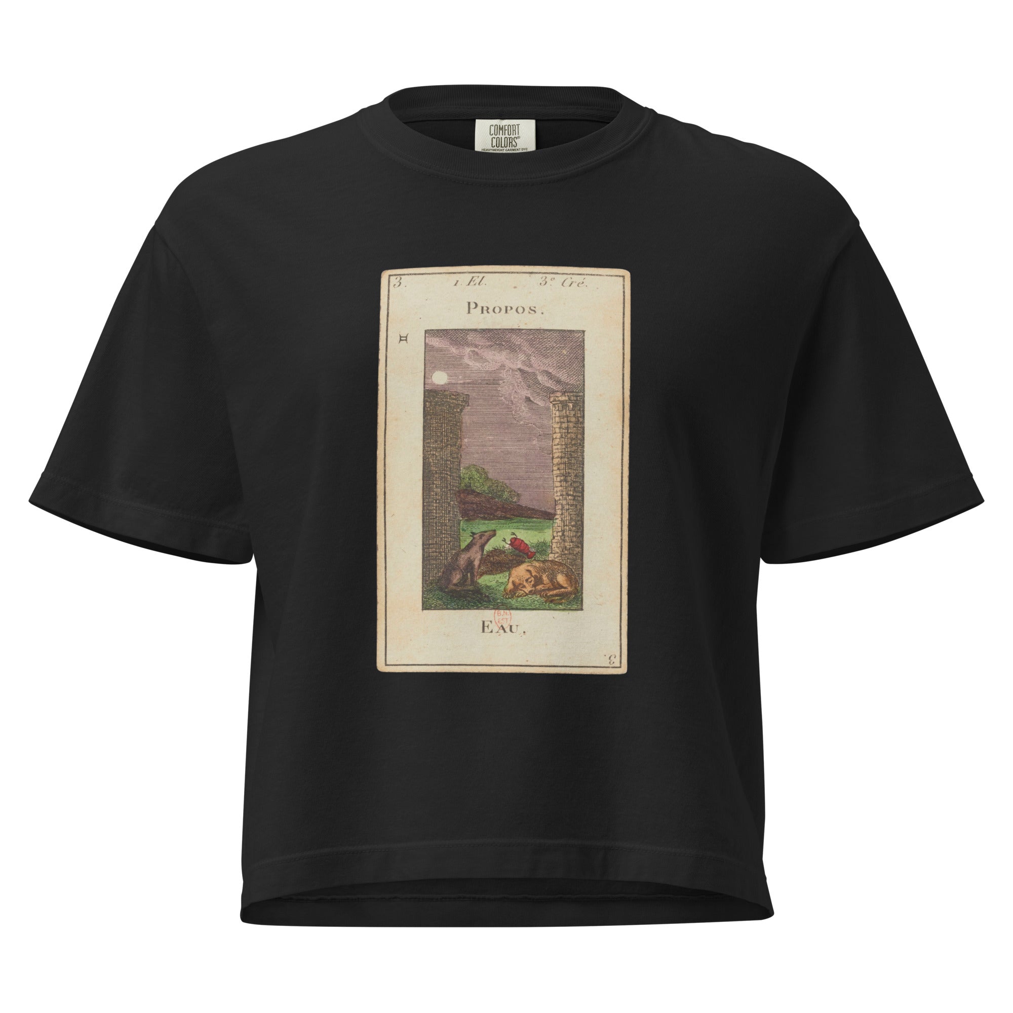 Vintage "Grand Etteilla" French Tarot "The Moon" | Women’s Boxy Tee-Haus of Darkness, Haus of Light