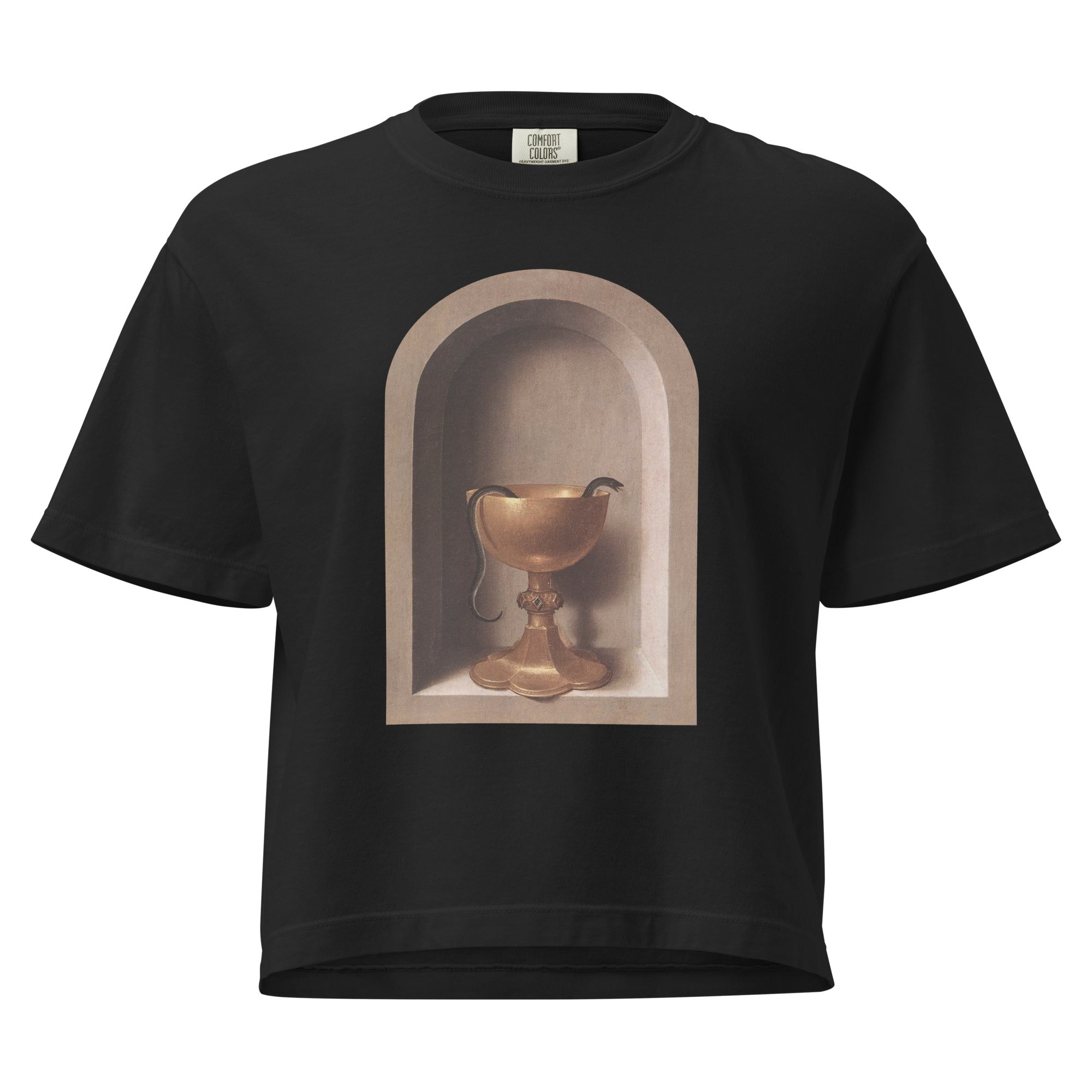 Snake Chalice from St John and Veronica Diptych by Hans Memling | Women’s Boxy Tee-Haus of Darkness, Haus of Light
