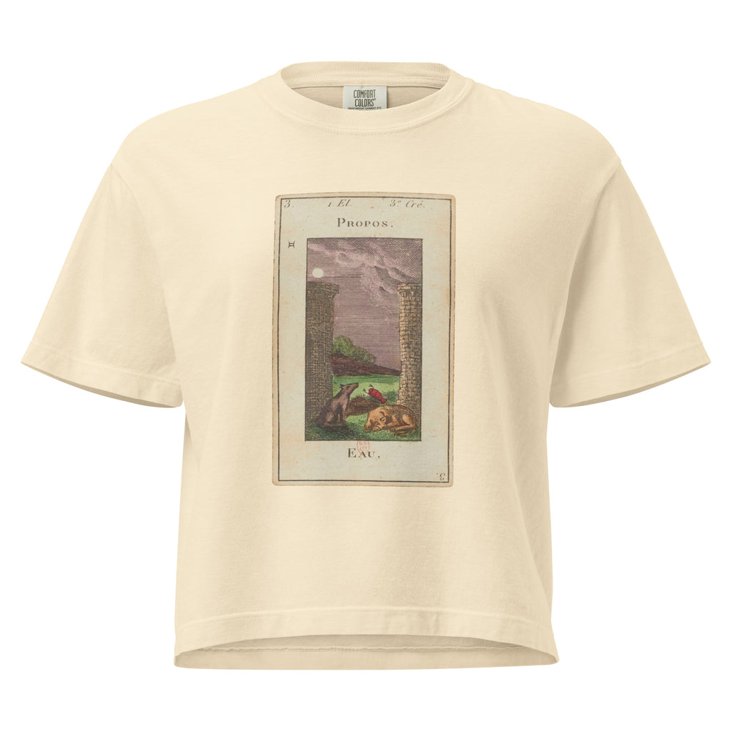 Vintage "Grand Etteilla" French Tarot "The Moon" | Women’s Boxy Tee-Haus of Darkness, Haus of Light