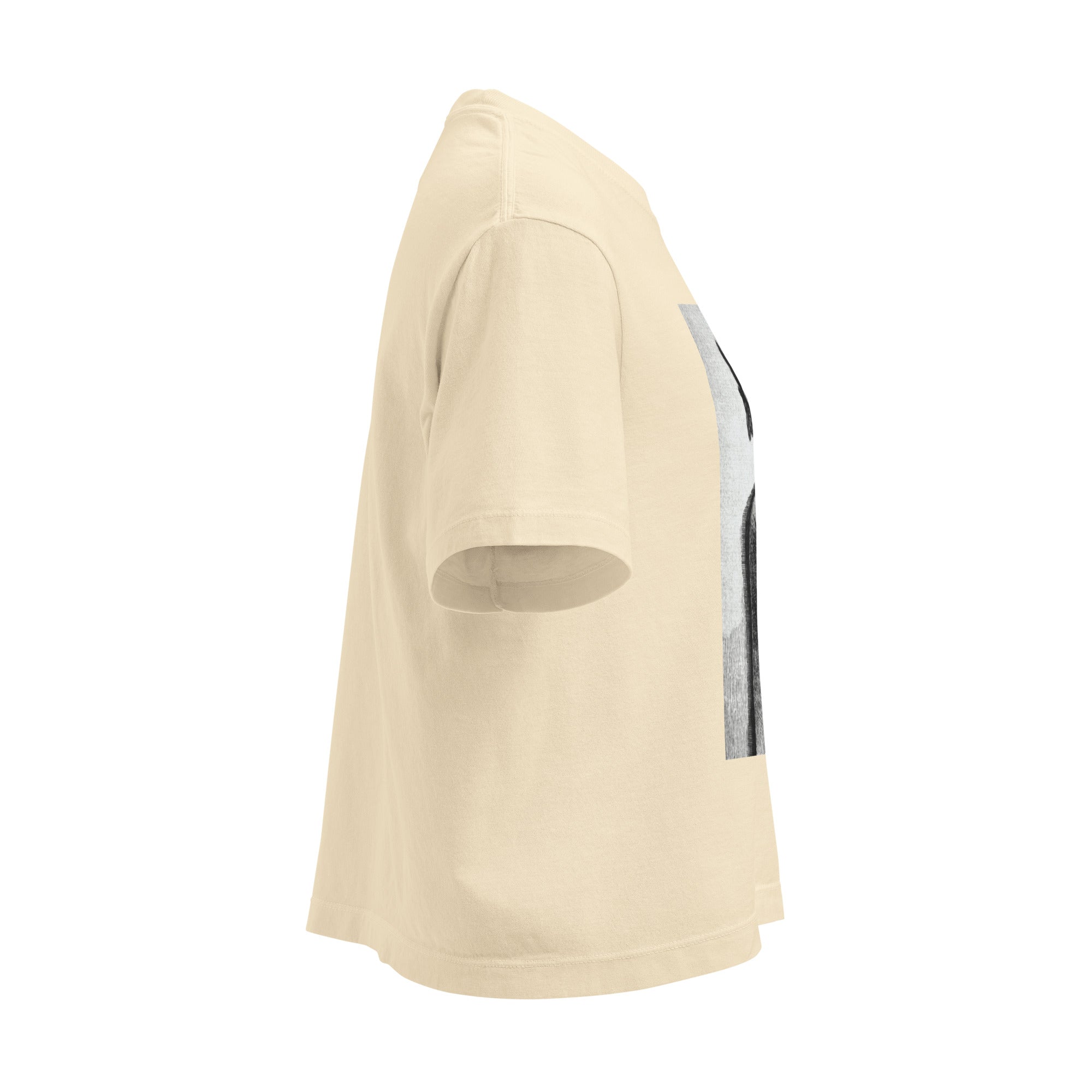 Devil Worship from "The Freemason" by Eugen Lennhoff | Women’s Boxy Tee-Haus of Darkness, Haus of Light