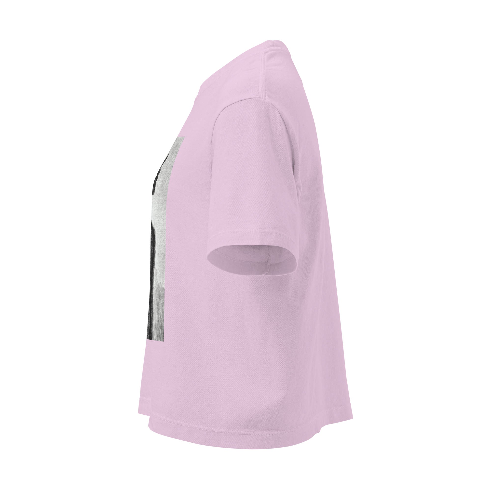 Devil Worship from "The Freemason" by Eugen Lennhoff | Women’s Boxy Tee-Haus of Darkness, Haus of Light