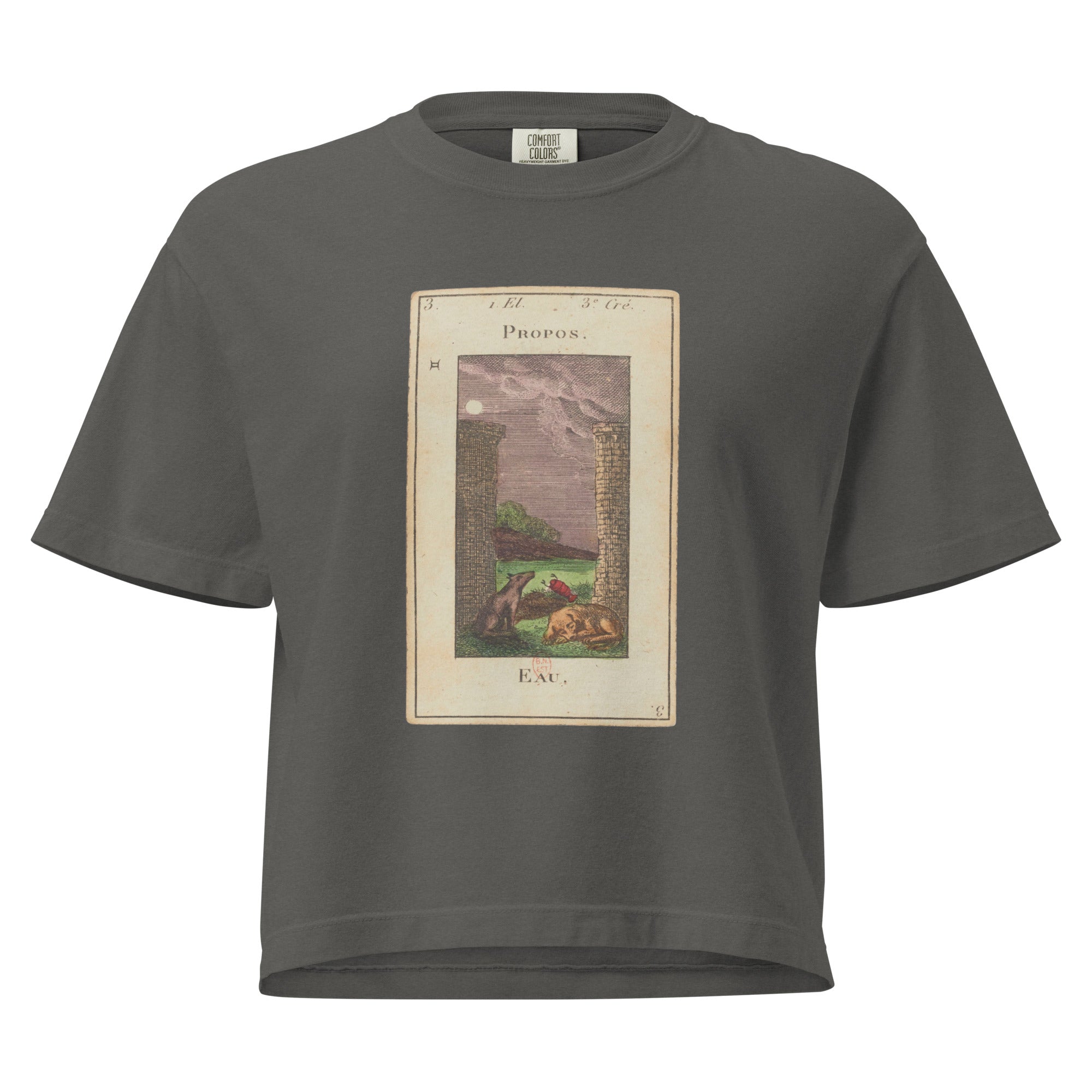 Vintage "Grand Etteilla" French Tarot "The Moon" | Women’s Boxy Tee-Haus of Darkness, Haus of Light
