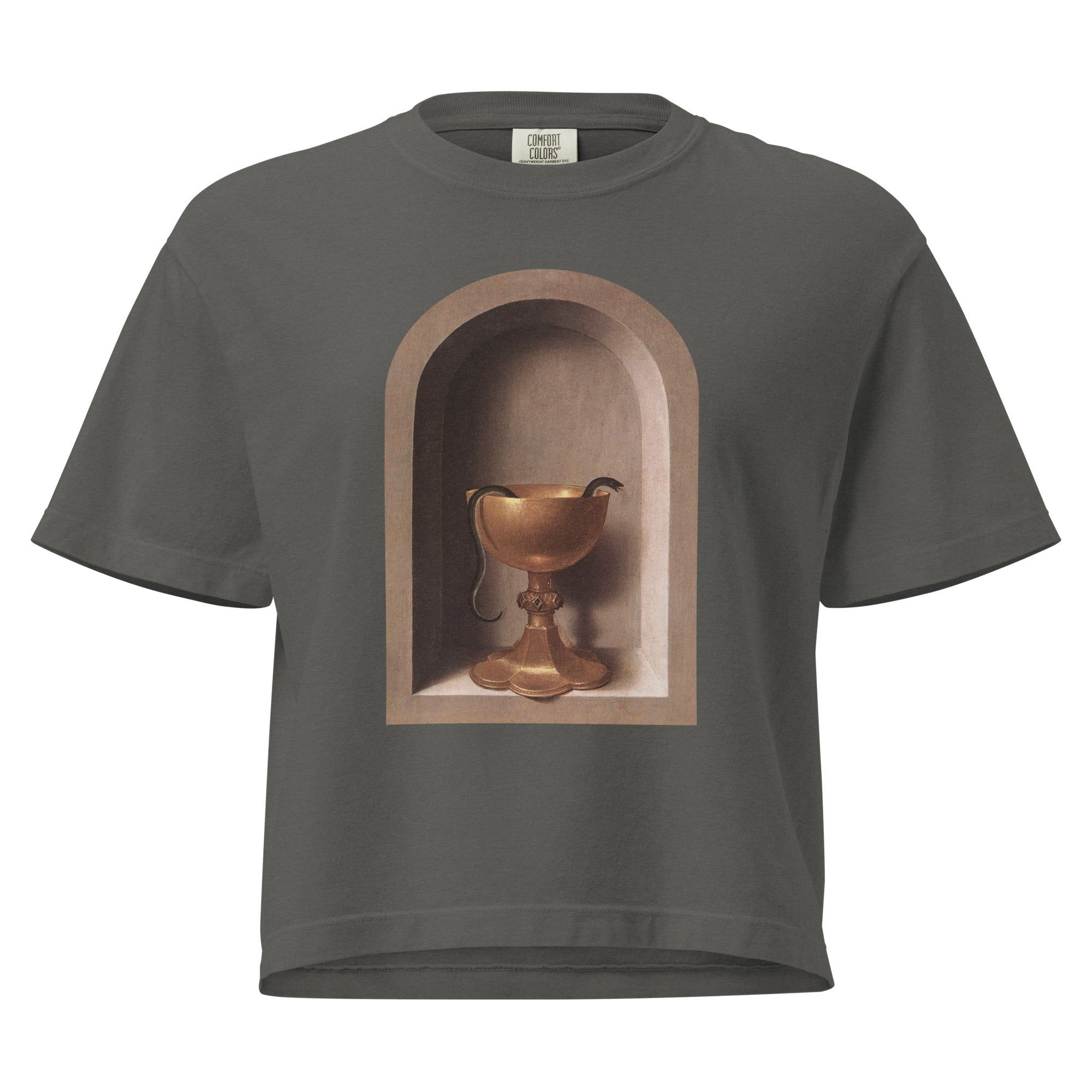 Snake Chalice from St John and Veronica Diptych by Hans Memling | Women’s Boxy Tee-Haus of Darkness, Haus of Light