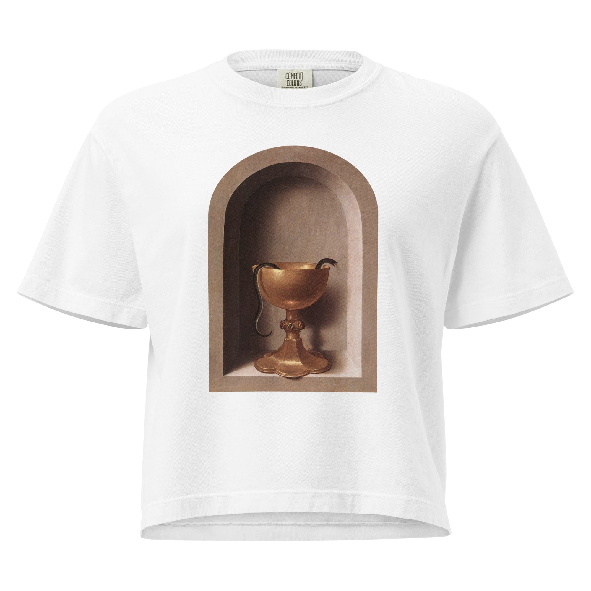 Snake Chalice from St John and Veronica Diptych by Hans Memling | Women’s Boxy Tee-Haus of Darkness, Haus of Light