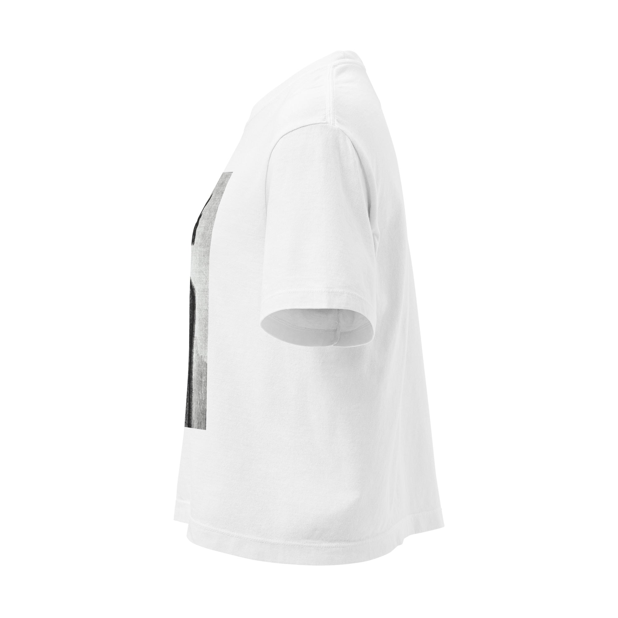 Devil Worship from "The Freemason" by Eugen Lennhoff | Women’s Boxy Tee-Haus of Darkness, Haus of Light